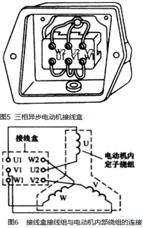 电动机原理与结构图,三相异步电动机